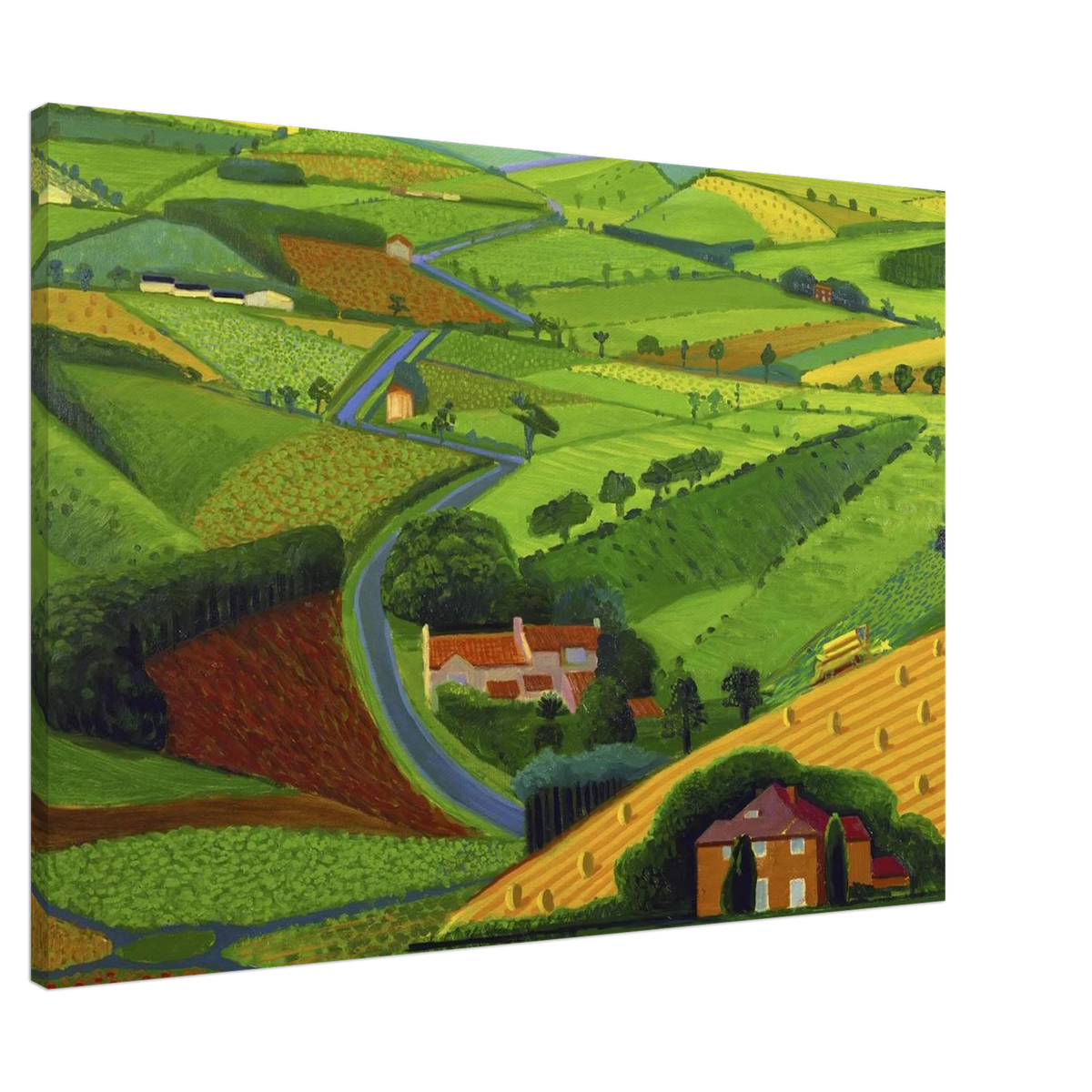 David Hockney Canvas | David Hockney Canvas | David Hockney Poster