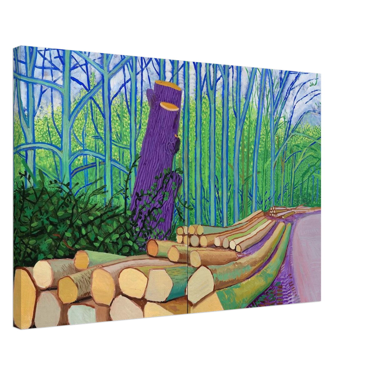 David Hockney Canvas | David Hockney Canvas | David Hockney Poster