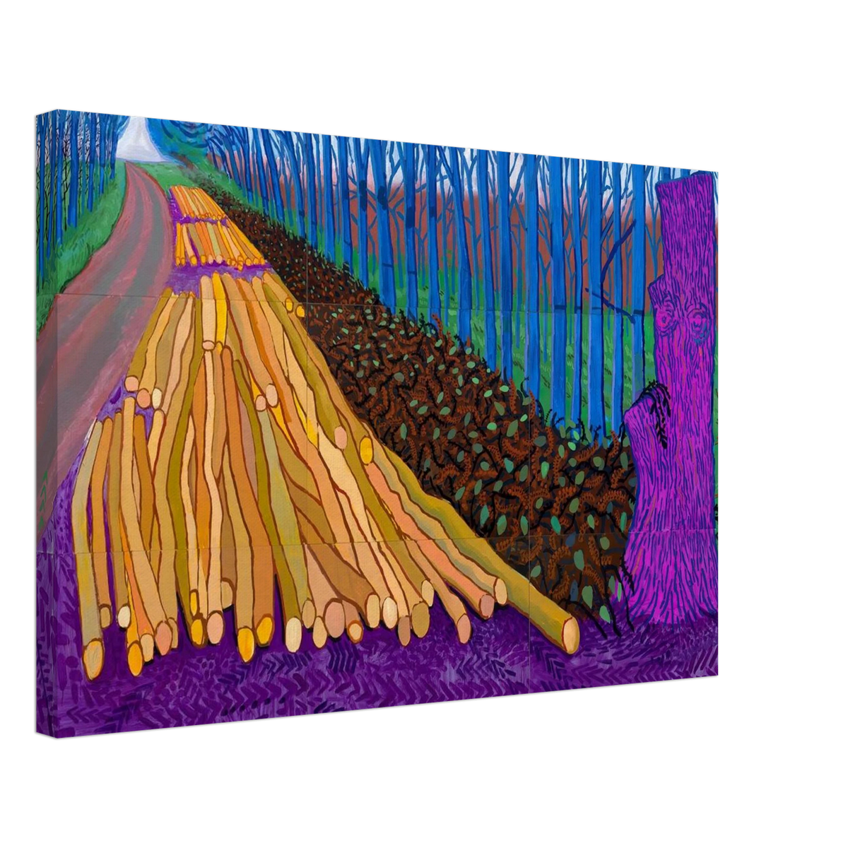 David Hockney Canvas | David Hockney Canvas | David Hockney Poster
