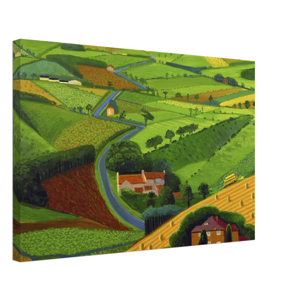 David Hockney Canvas | David Hockney Canvas | David Hockney Poster