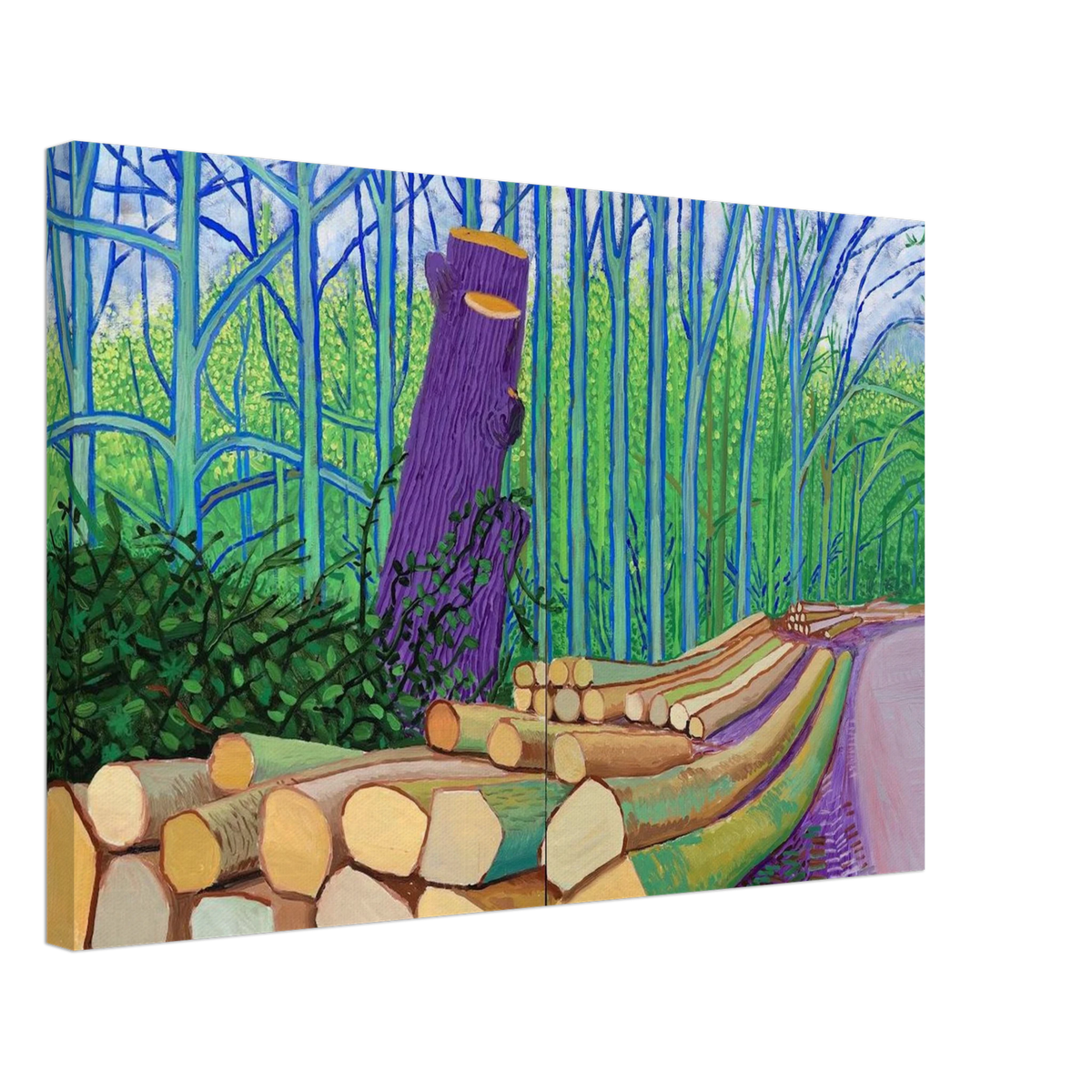 David Hockney Canvas | David Hockney Canvas | David Hockney Poster