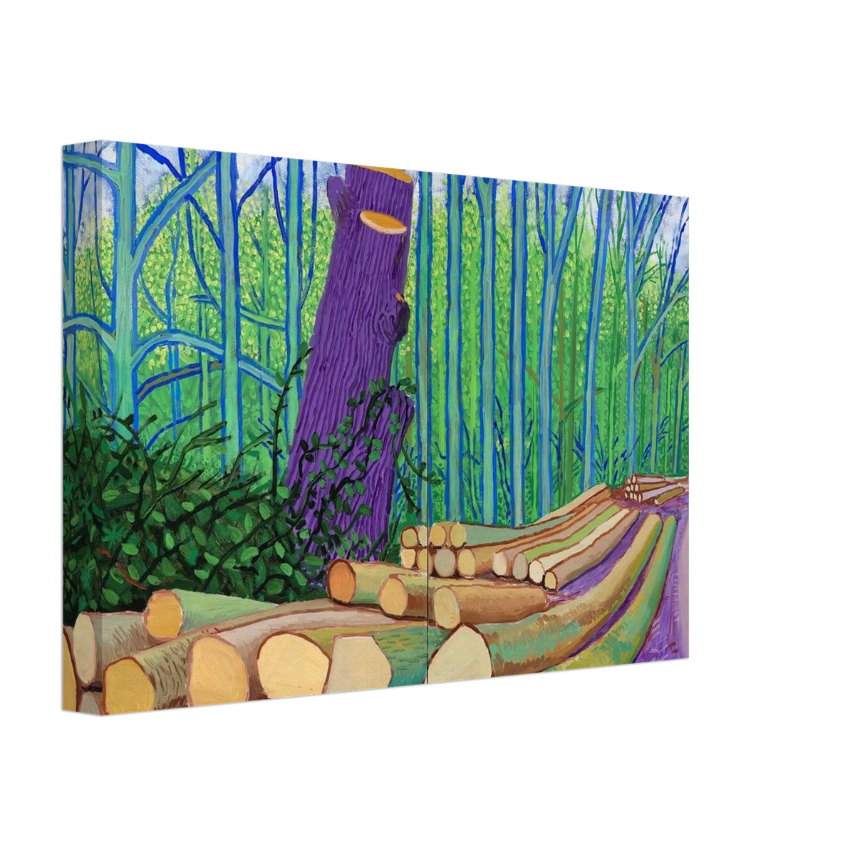 David Hockney Canvas | David Hockney Canvas | David Hockney Poster