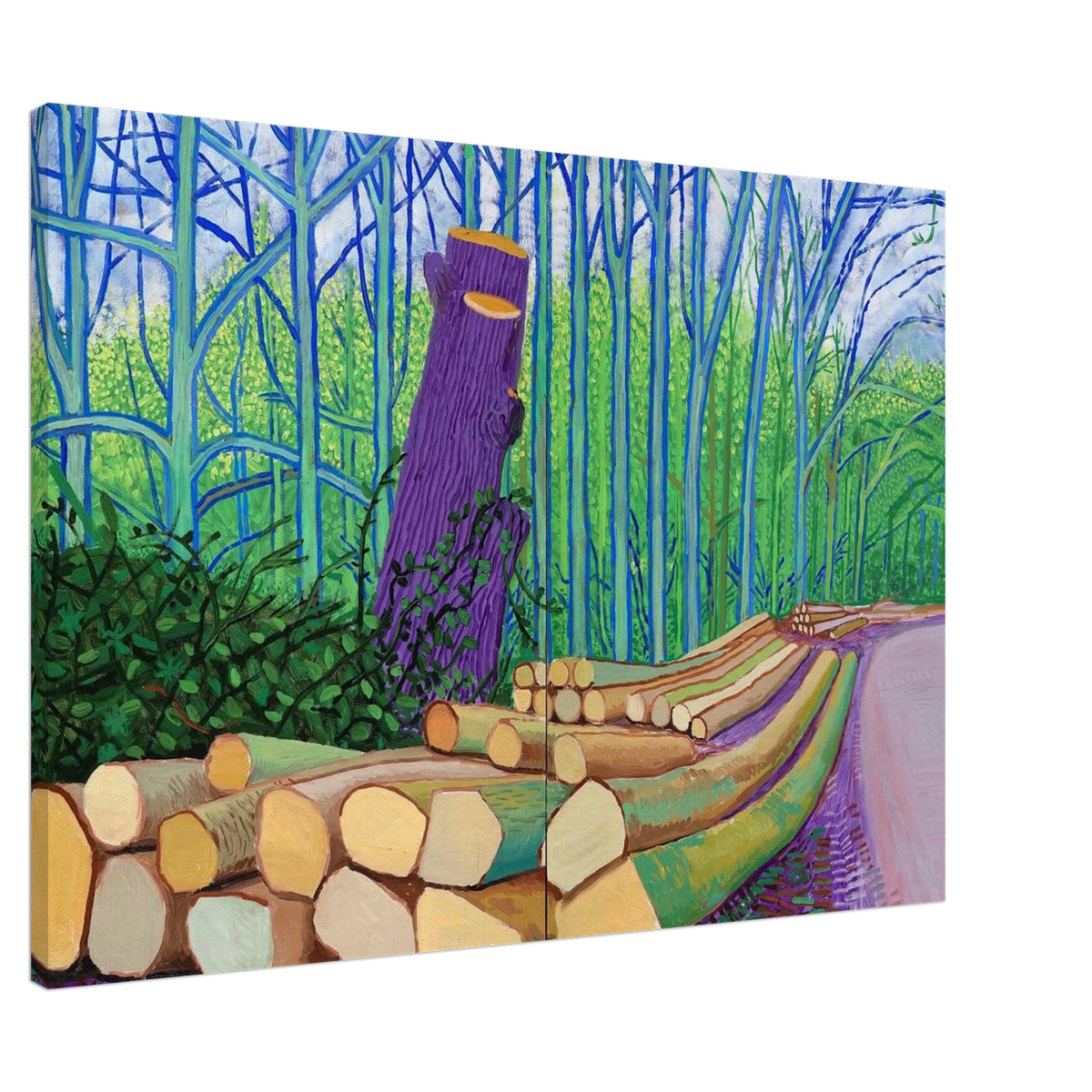 David Hockney Canvas | David Hockney Canvas | David Hockney Poster