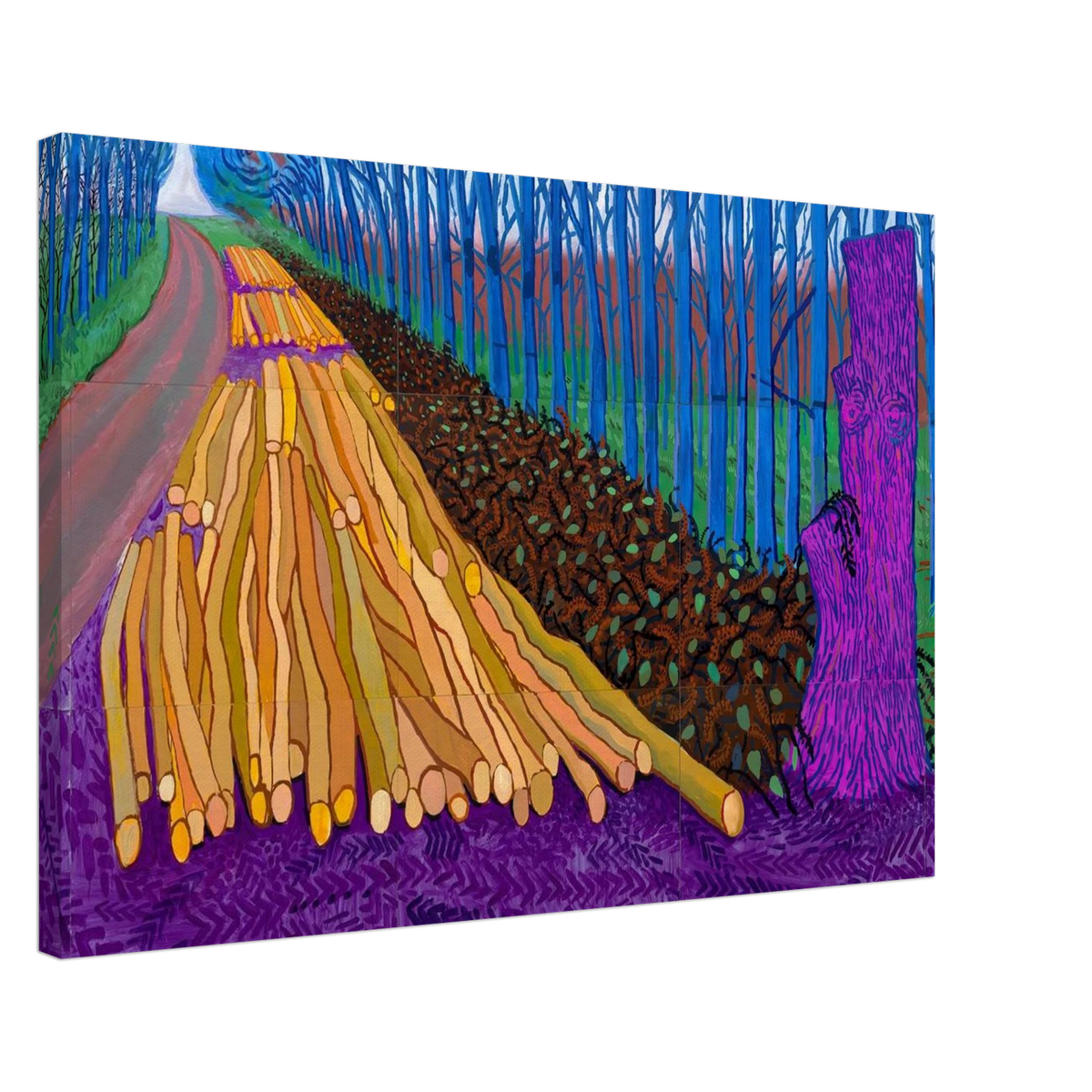 David Hockney Canvas | David Hockney Canvas | David Hockney Poster